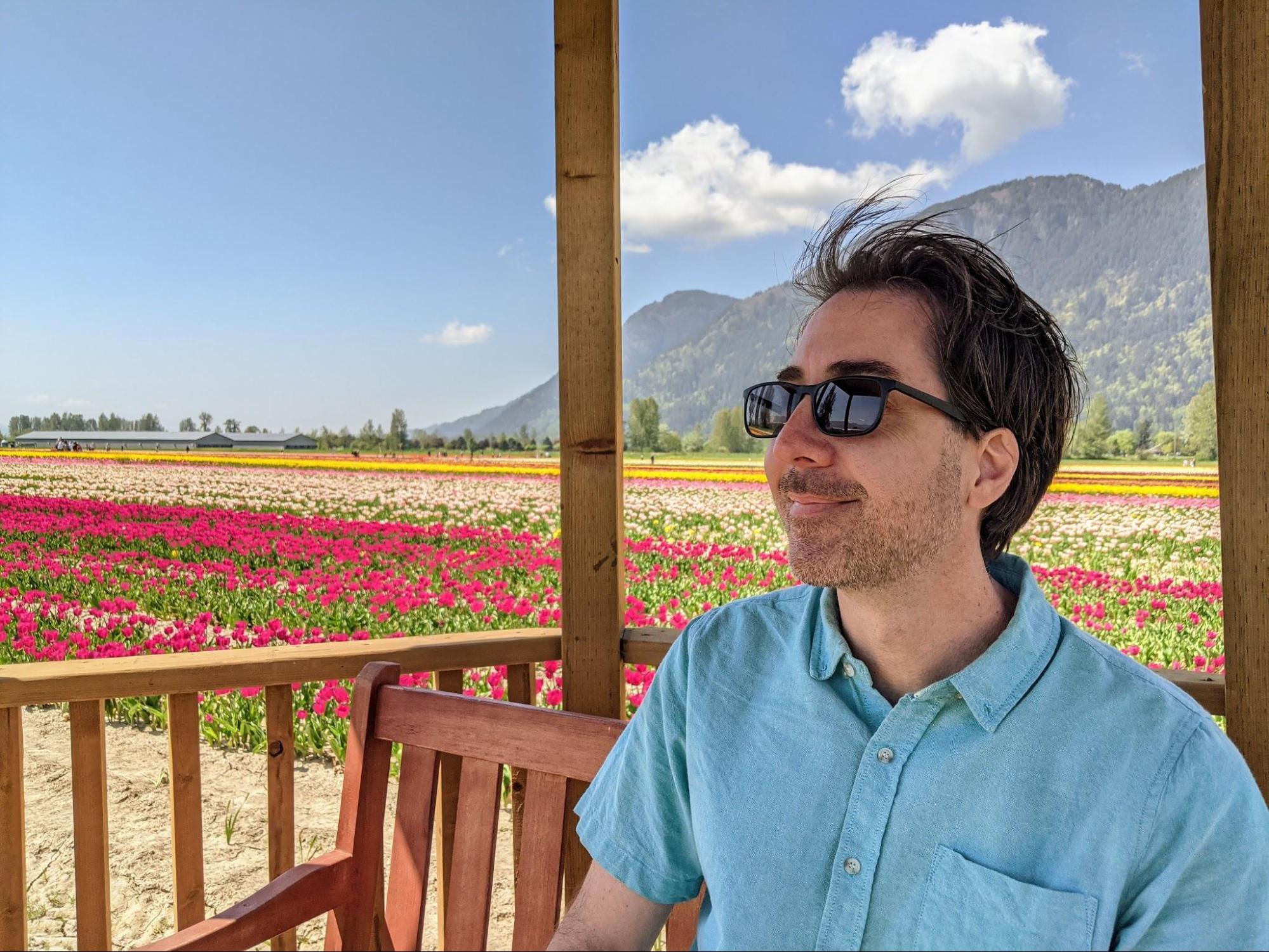 Jay and tulips Jay sitting in a gazebo in front of the multi-colored field of tulips at the Chilliwack tulip festival