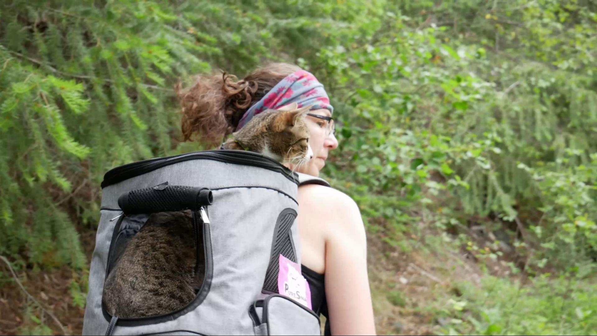 Taking a ride Benny rides on Mel's back in his backpack on the trail at Skihist Provincial Park, British Columbia, Canada.
