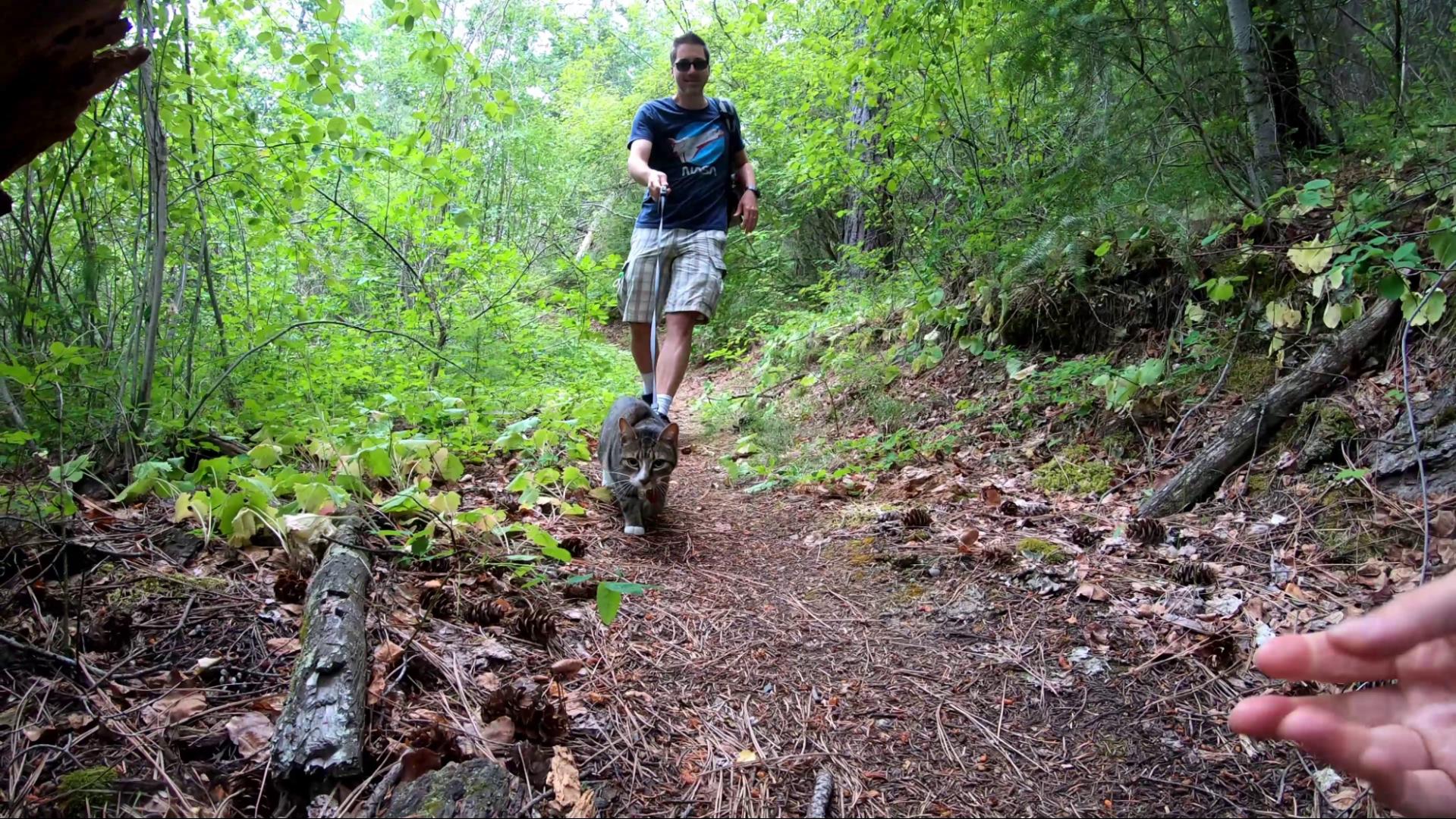 Adventure cat hiking Benny walking the trail with Jay coming down from Goat's Bluff at Skihist Provincial Park, British Columbia, Canada.