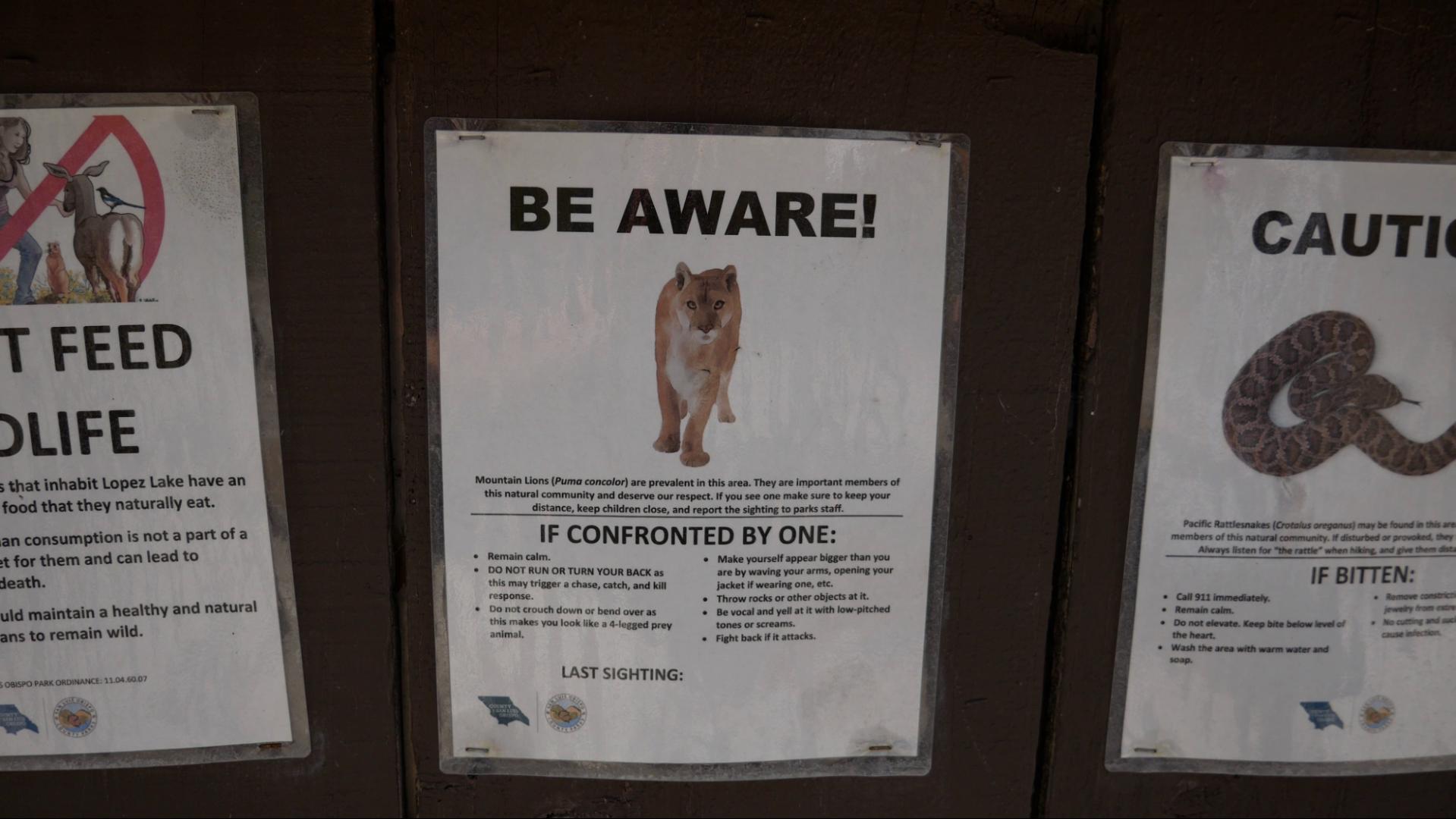 Wildlife Cautions Lopez Lake is home to a lot of wildlife including bears, cougars, and rattlesnakes. Signs posted at the entrance and throughout the park detail what to do if these animals are encountered on your visit.