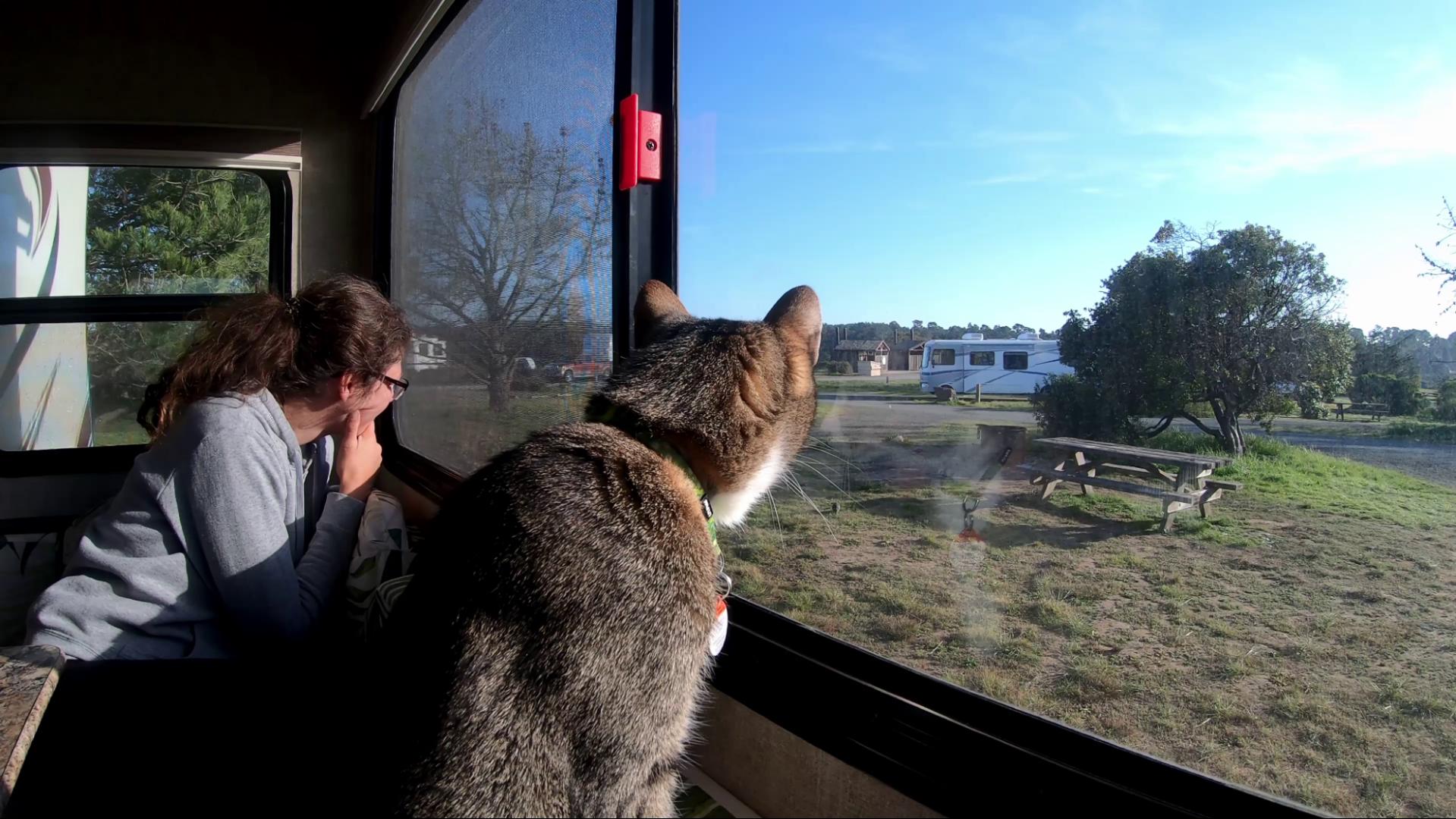 Washburn Campground at Hearst San Simeon SP Benny and Mel watching the quails out the window on our site at washburn in the Hearst San Simeon State Park.