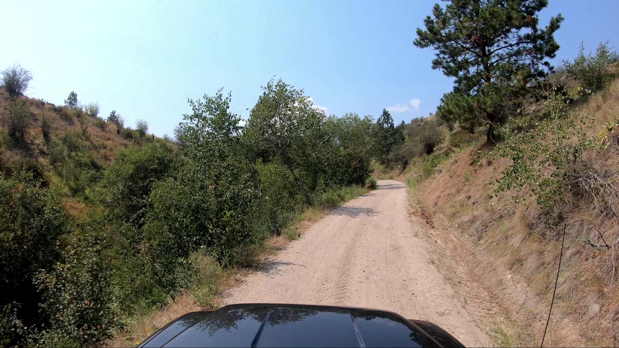 Road to Burnell Rec Site, Oliver, BC The road to the Burnell rec site is narrow, bumpy and one vehicle wide. There is also the potential for low hanging tree branches.
