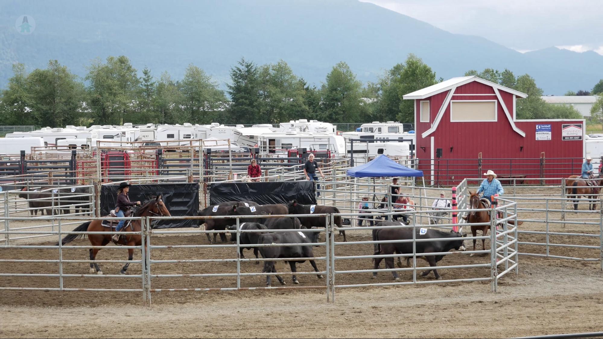 Ranch Sorting One team works to move cattle from one pen to another in numerical order in the fastest time possible.