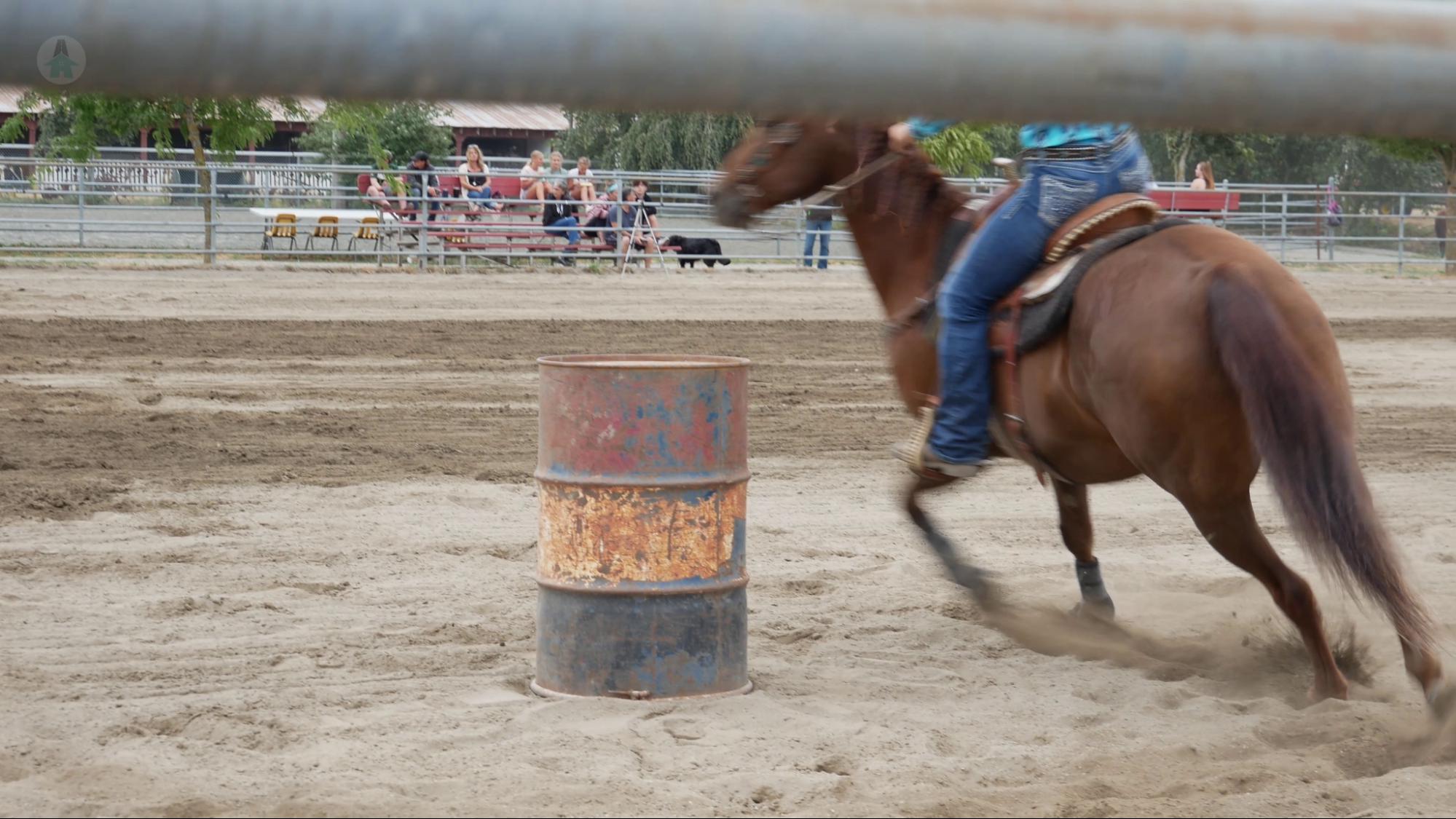 Barrel Racing A horse rounds a barrel at the barrel racing contest at the Chilliwack Fair 2021