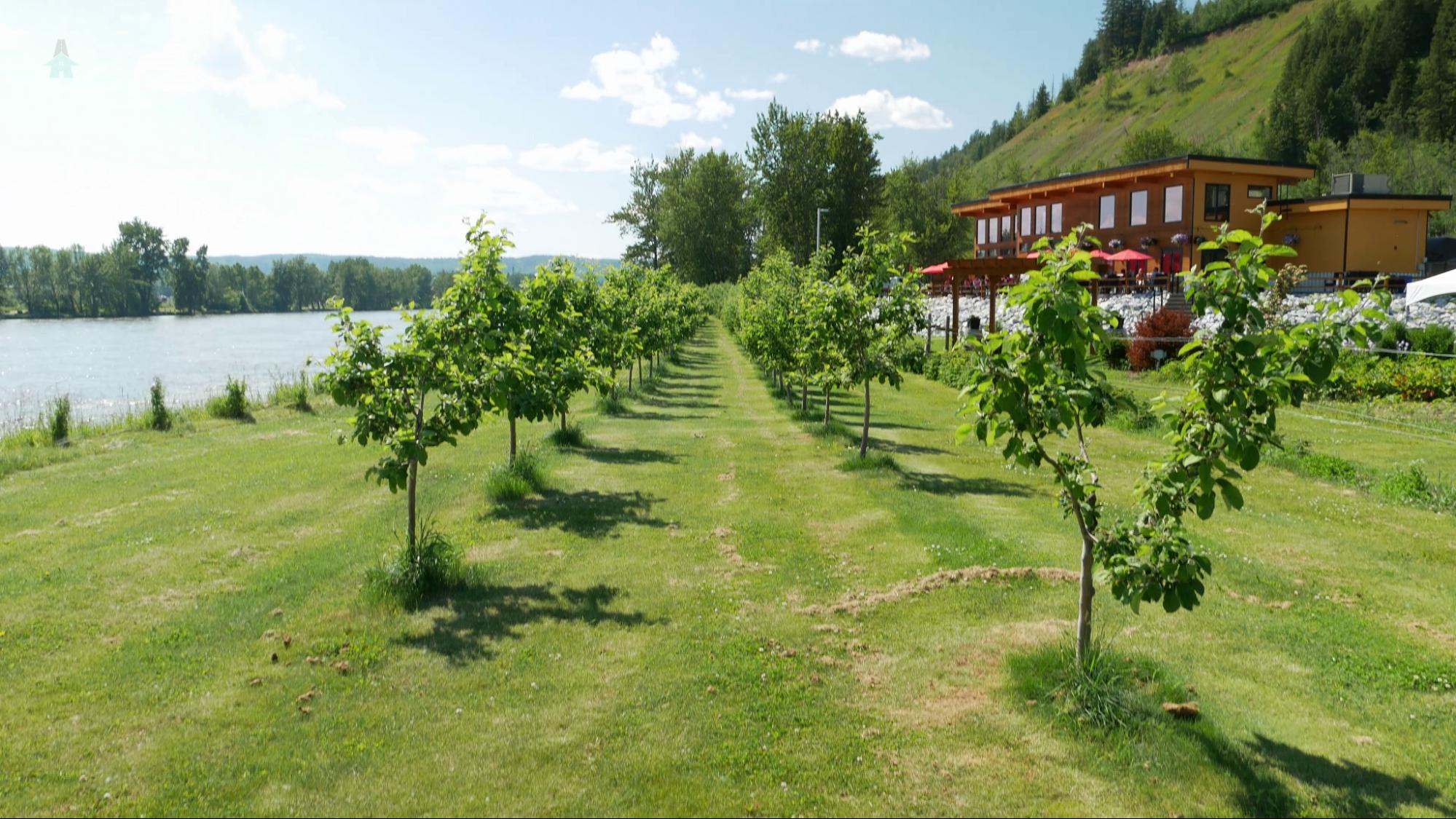 Northern Lights winery bistro the bistro patio at Northern Lights winery in Prince George, BC overlooks an orchard on the banks of the Nechako River.